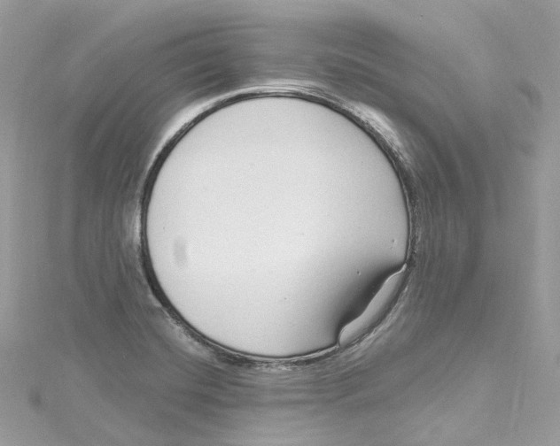 X0000115221420200911181539