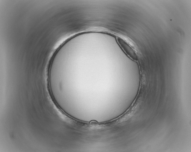 X0000115221430200911181540
