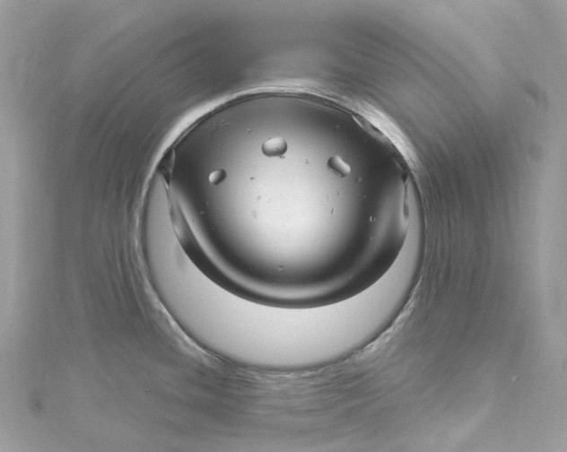 X0000115221436200911181540