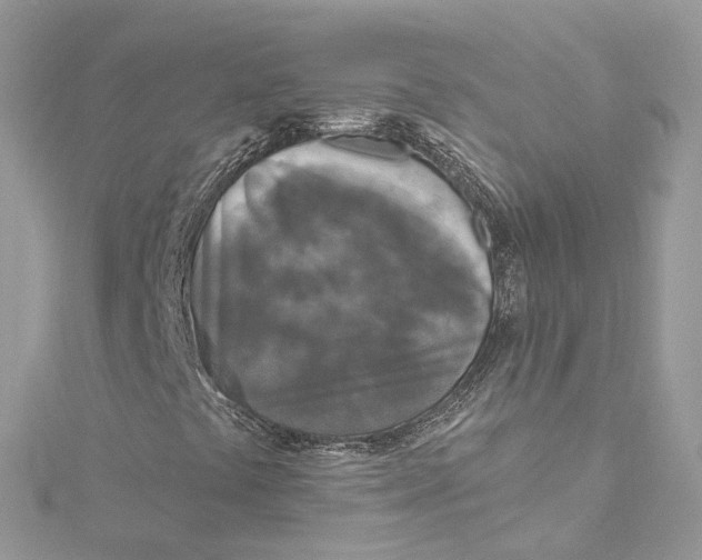 X0000115221441200911181539