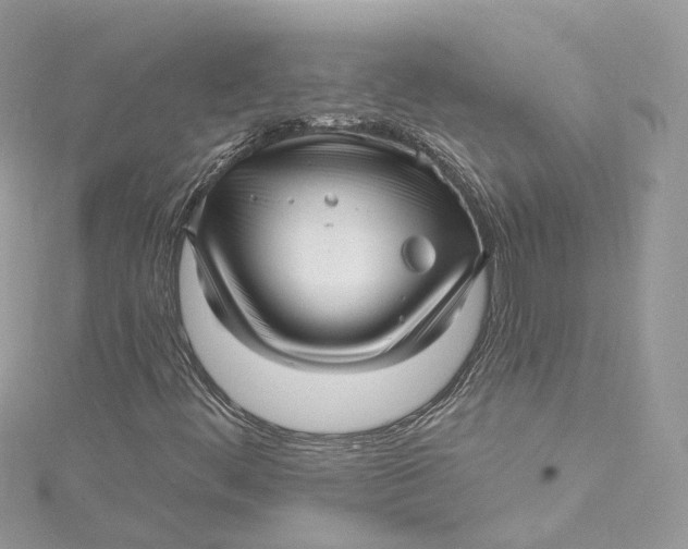 X0000115221444200911181539
