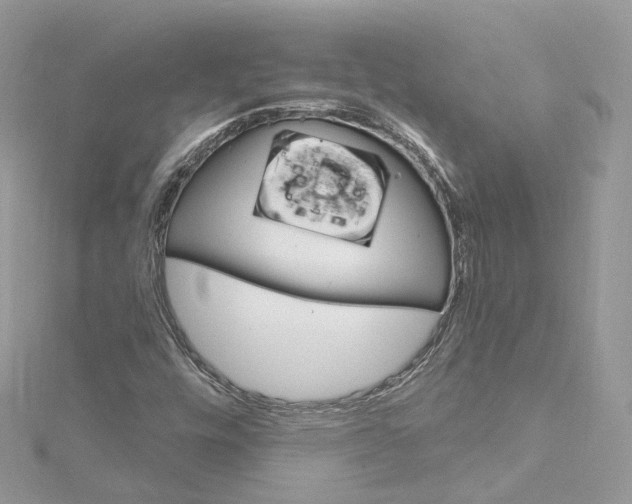 X0000115221448200911181539