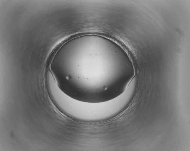X0000115221452200911181539