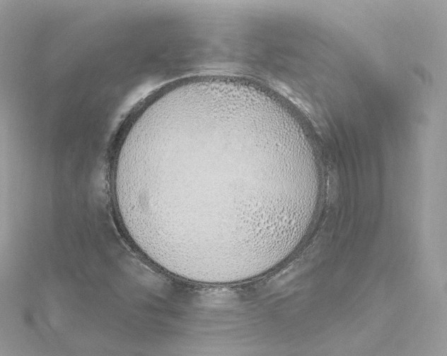 X0000115221454200911181539