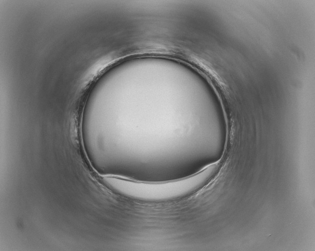 X0000115221455200911181539