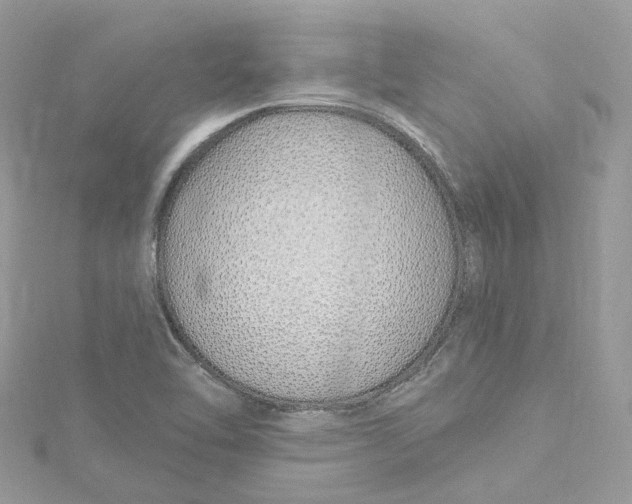 X0000115221462200911181539