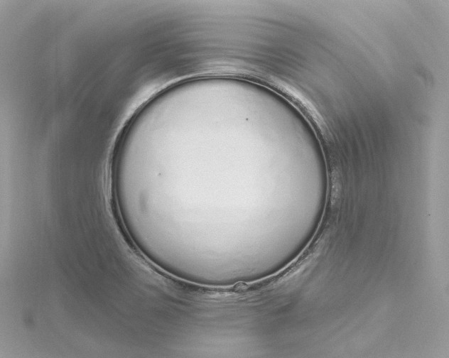X0000115221467200911181539