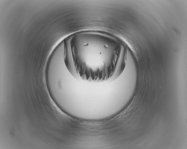 X0000115221468200911181539