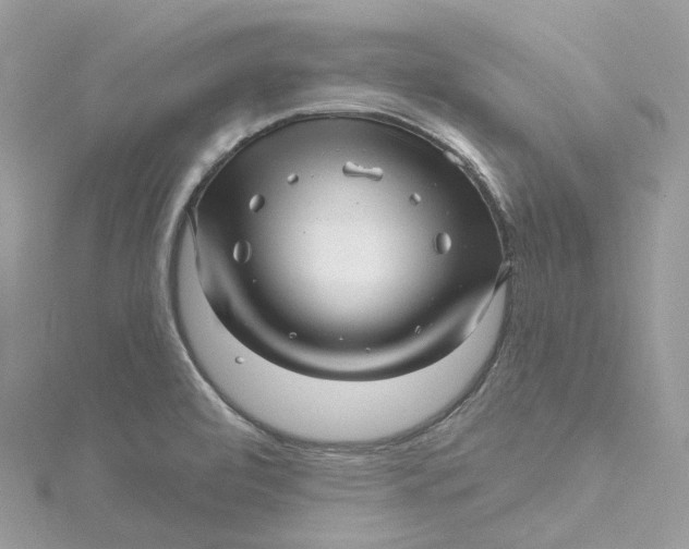 X0000115221472200911181539