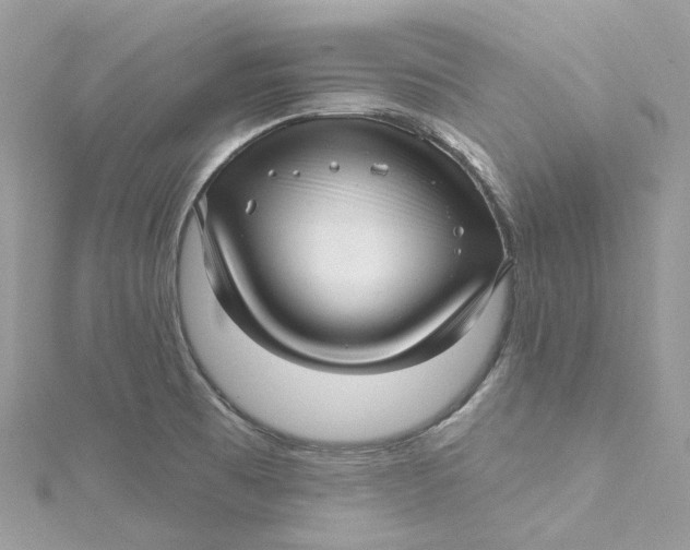 X0000115221473200911181539