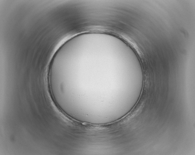 X0000115221475200911181539