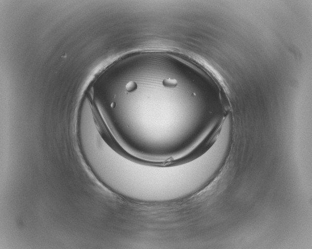 X0000115221477200911181539