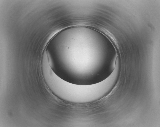 X0000115221481200911181539