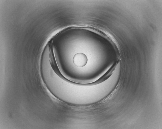 X0000115221485200911181539