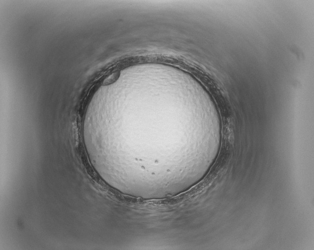 X0000115221493200911181538