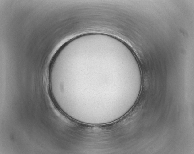 X0000115221515200911181538