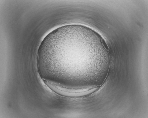 X0000115221534200911181538