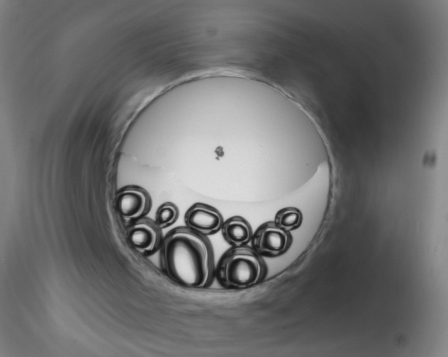 X0000115220001200911251542