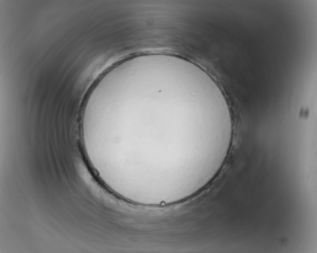 X0000115220002200911251542
