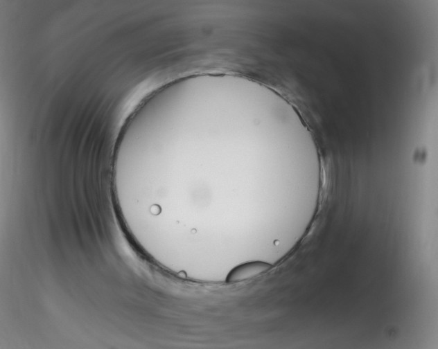 X0000115220003200911251542
