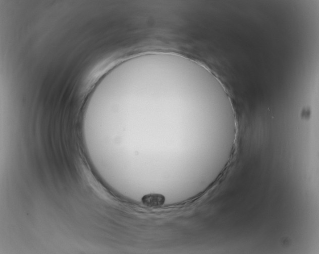 X0000115220005200911251542