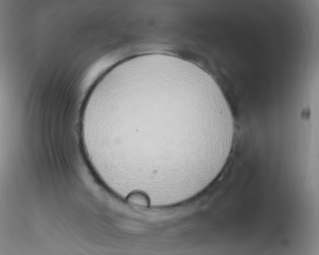 X0000115220006200911251542