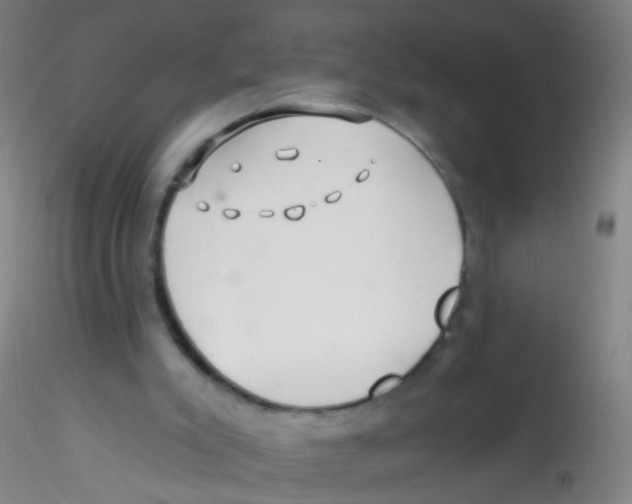 X0000115220007200911251542