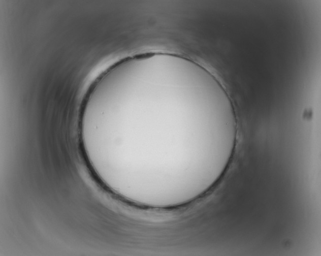 X0000115220008200911251542