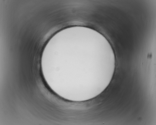 X0000115220011200911251541