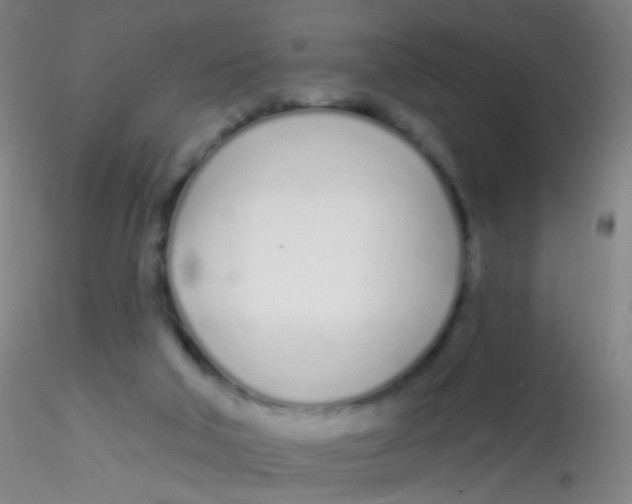 X0000115220018200911251541