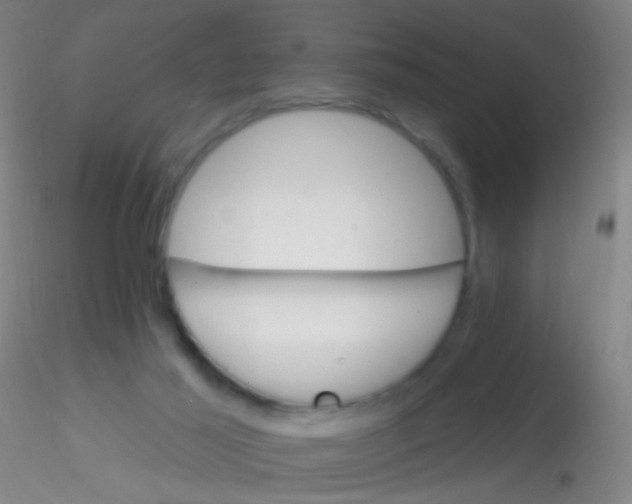 X0000115220021200911251541