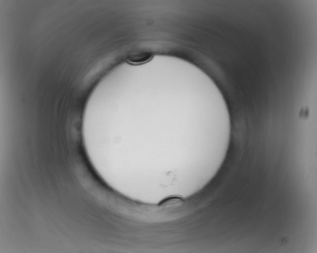 X0000115220023200911251541
