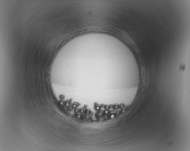 X0000115220025200911251541