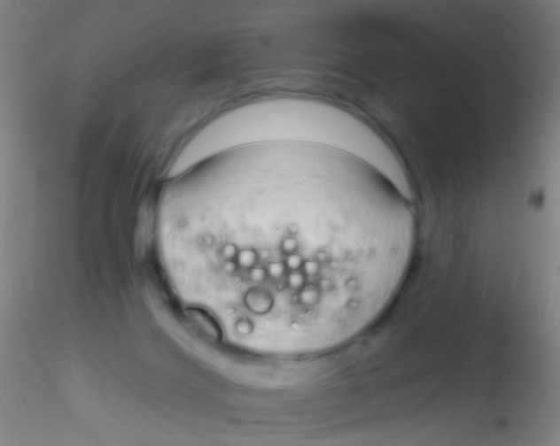 X0000115220028200911251541