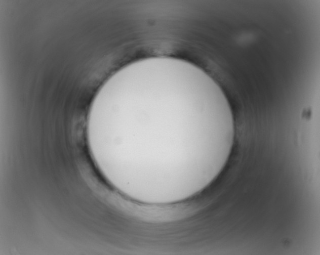 X0000115220030200911251541