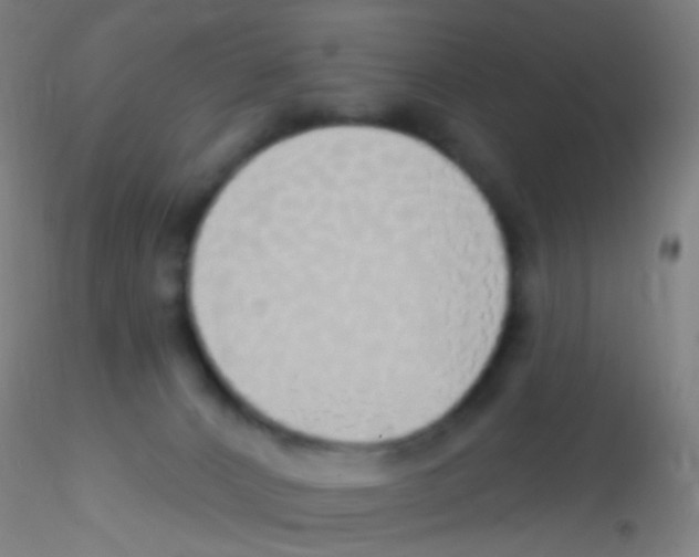 X0000115220032200911251541