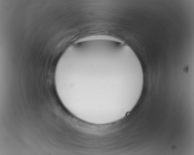 X0000115220035200911251541