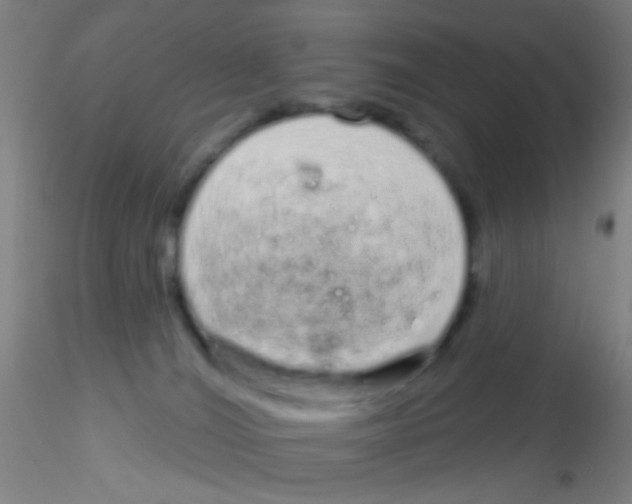 X0000115220036200911251541