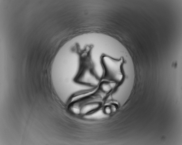 X0000115220037200911251541