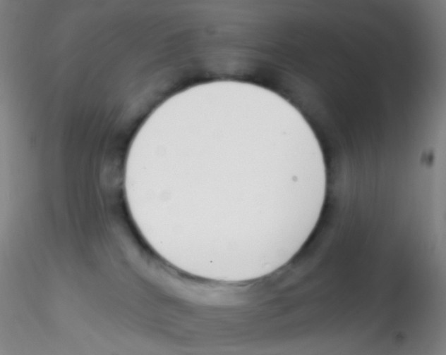 X0000115220040200911251541