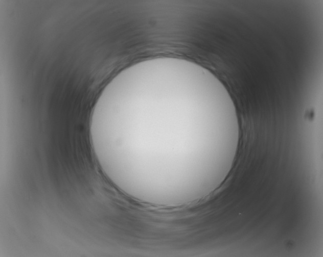 X0000115220041200911251541