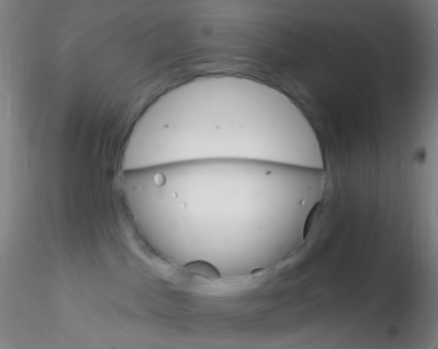 X0000115220045200911251541