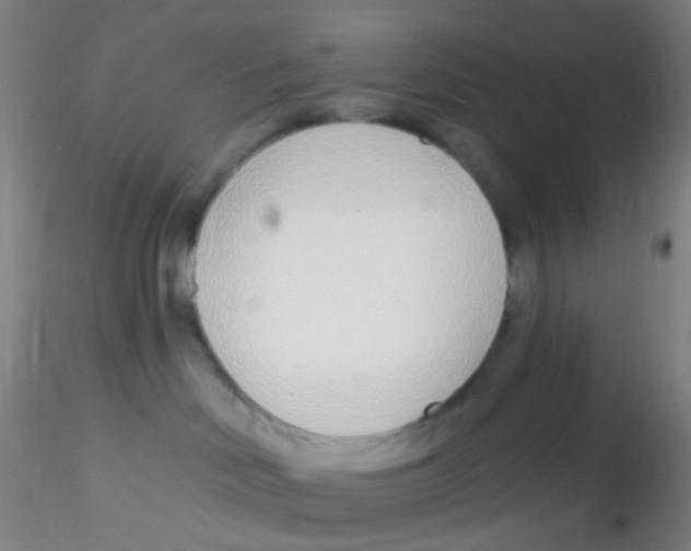 X0000115220046200911251541