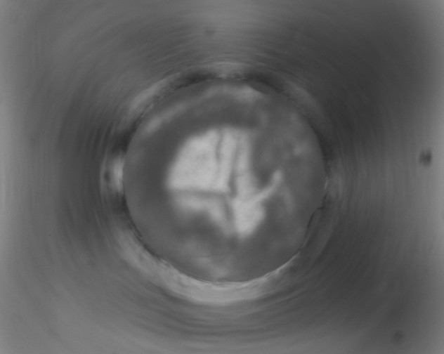 X0000115220047200911251541