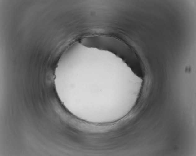 X0000115220048200911251541