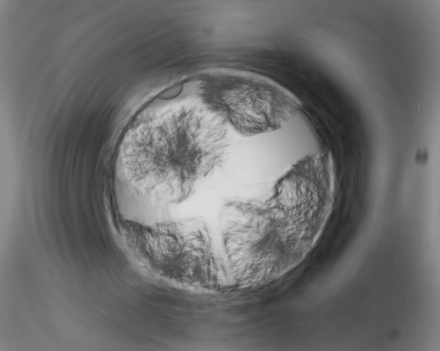 X0000115220049200911251540