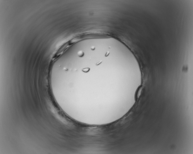X0000115220050200911251540