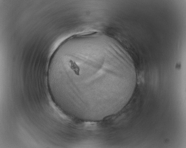 X0000115220052200911251540