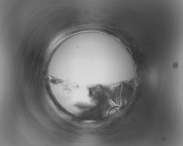 X0000115220053200911251540