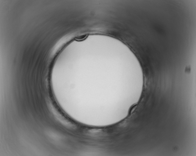 X0000115220054200911251540